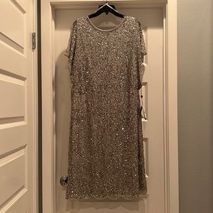 Adrianna Papell formal silver dress